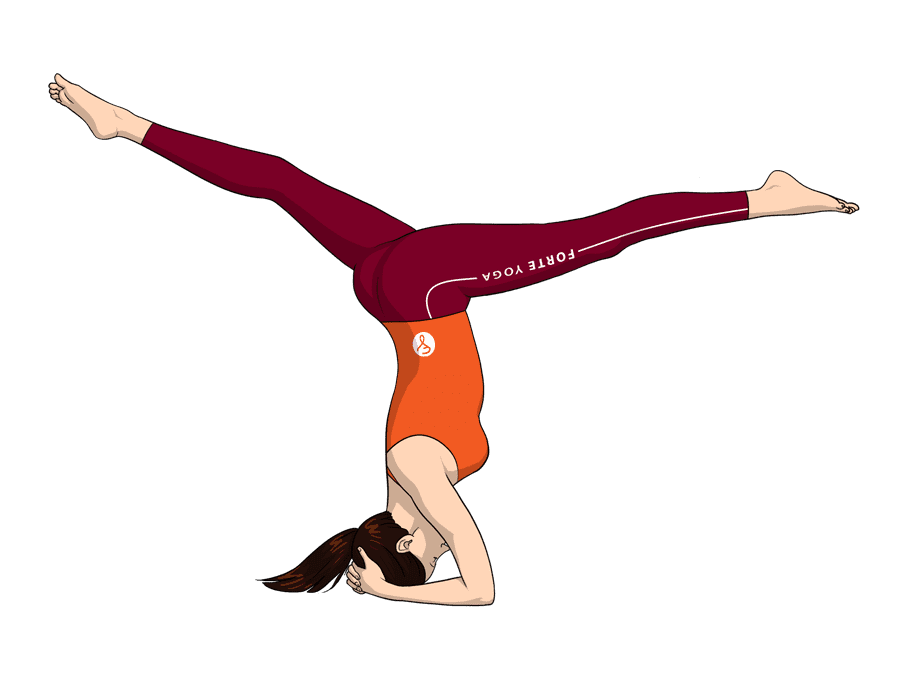 yoga, yoga classes near me, yoga nidra, yoga day, yoga for beginners, yoga for weight loss, asanas of yoga